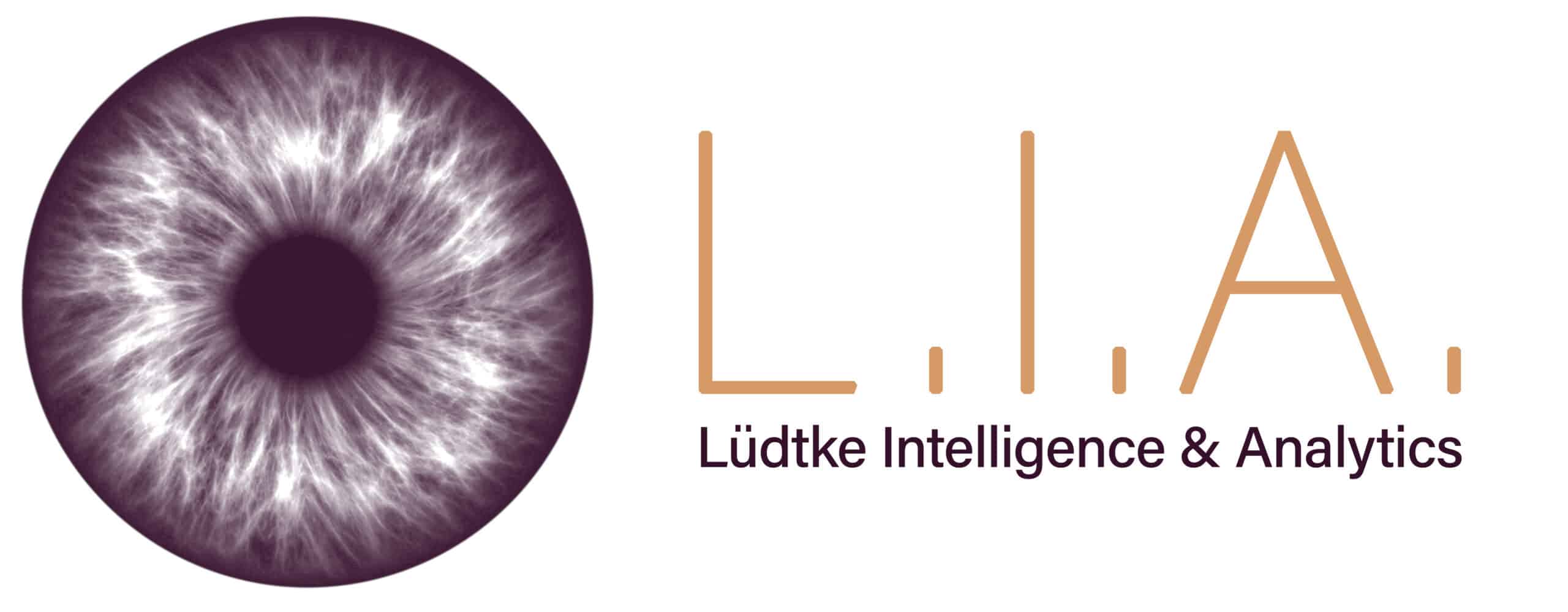 Lüdtke Intelligence & Analytics